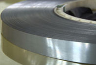 Alloy Materials Grades 904L Stainless Steel Strip With High Purity Steels