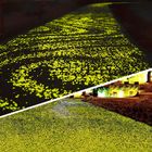 Yellow Decorative Fish Tank Luminous Garden Pebbles Quartz Surface