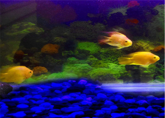 Temperature Resistant Luminous Garden Stones With 12 Hours Glowing